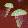 Tim profilbild